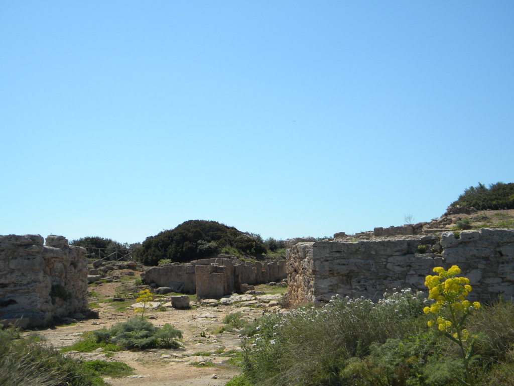 DSCN1885 (FILEminimizer).JPG